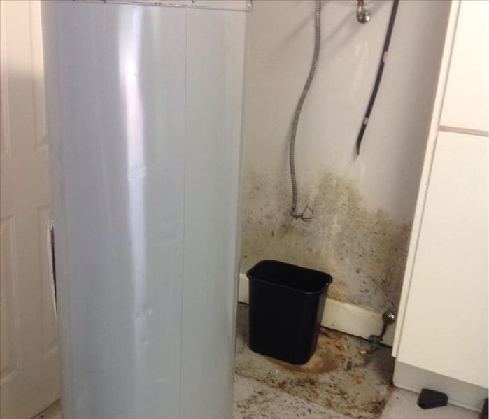 water heater with mold present