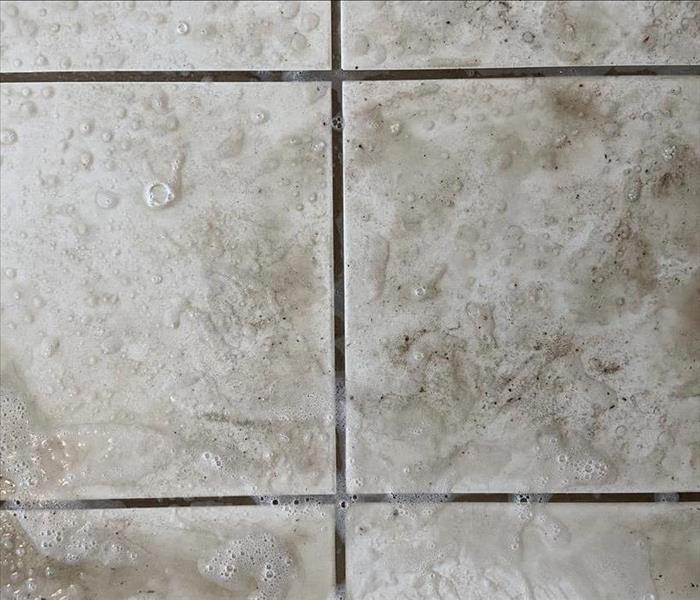 Close up of tile floor with dirty grout. 