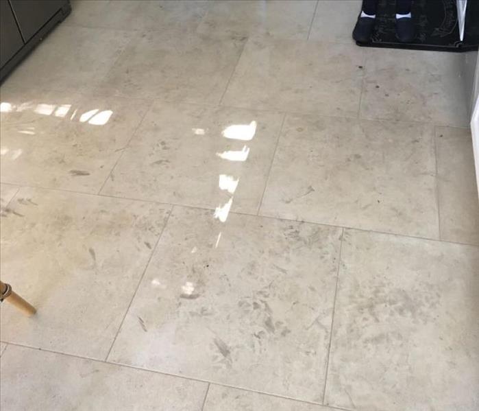 Freshly mopped, clean kitchen floor. 