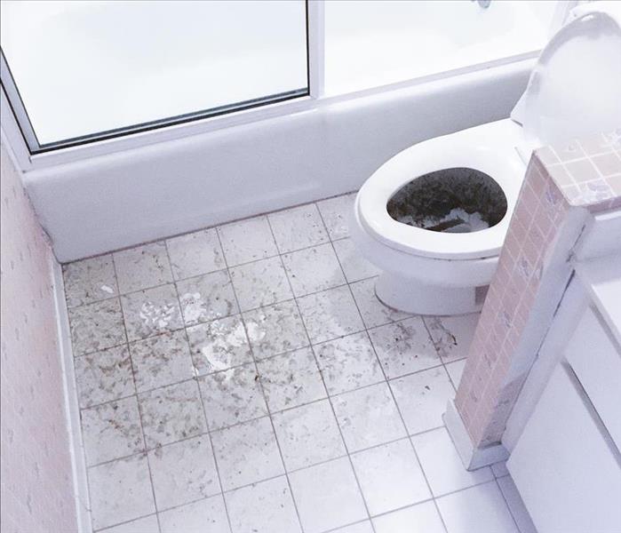 toilet and bathroom floor covered in muck and mud due to clogged up pipes