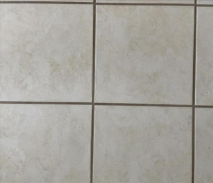Close up of tile floor with clean grout. 