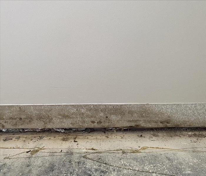 Picture of brownish mold on concrete block behind removed baseboards exposed.