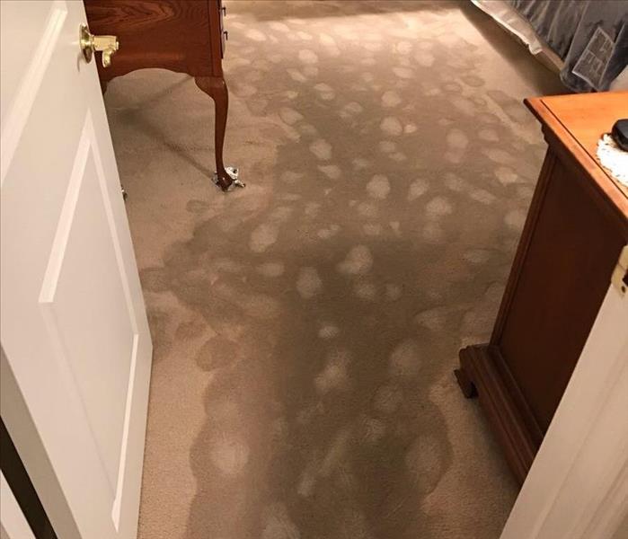 Carpet in a bedroom is completely wet and soaked through due to a toilet leaking nearby
