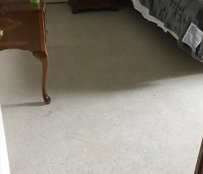  A restored carpet completely dry