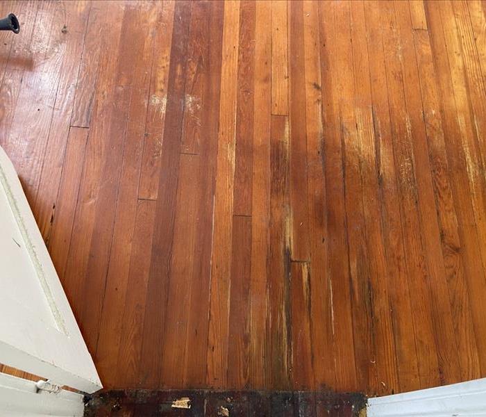 Wood flooring after blood was cleaned up. 