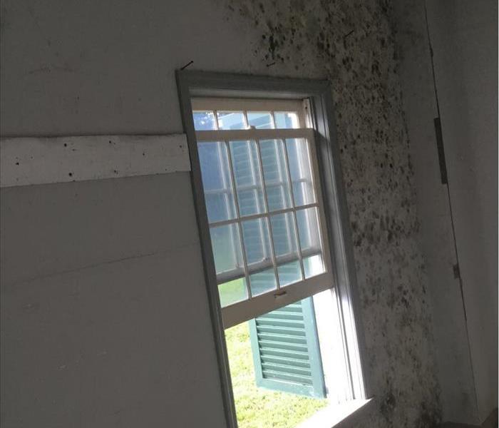 Window of office with mold growing on the wall around it.