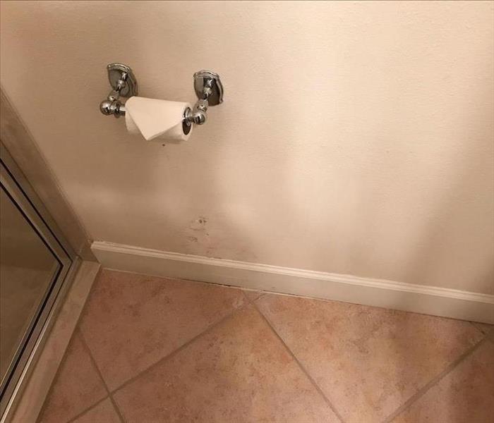 Wall with toilet paper holder and mold growth.