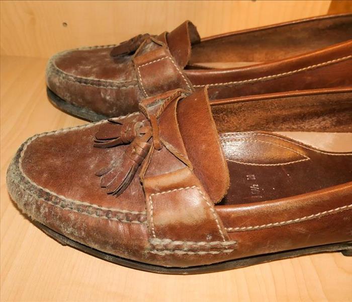 pair of leather shoes covered in mold