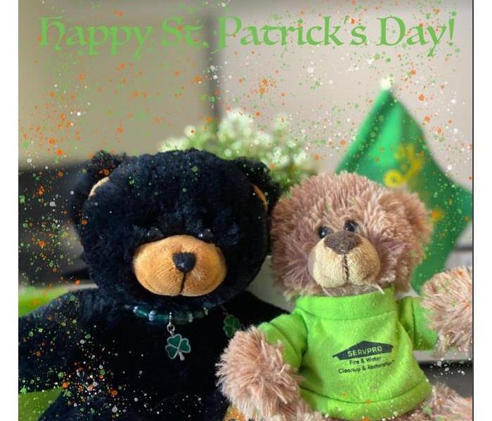 two bears for st. Patrick's day