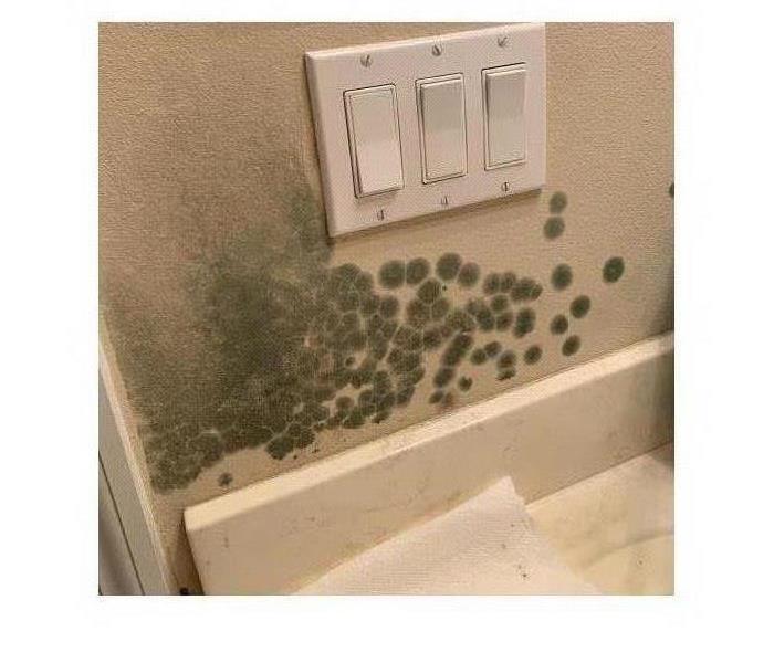 mold covering bathroom wall in vacation home