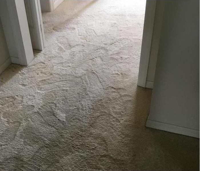 Water saturated carpet with foot prints