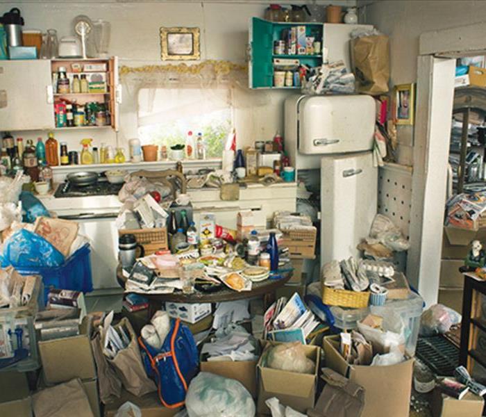 Graphic of disheveled home overflowing with inanimate objects. 