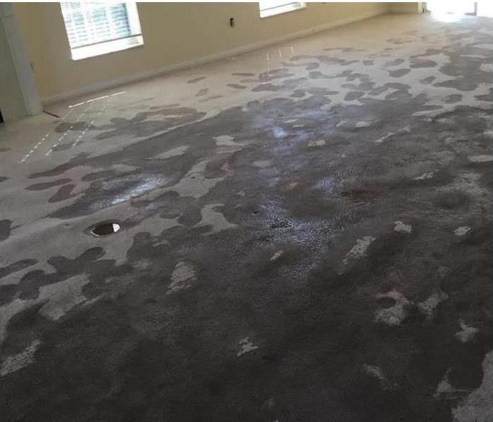 Carpet of a home completely saturated with water.