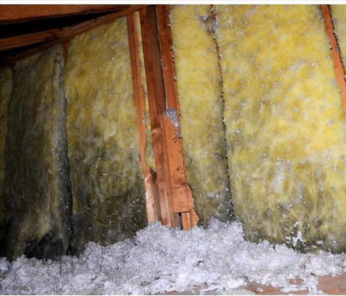 Wet insulation with mold colonies 