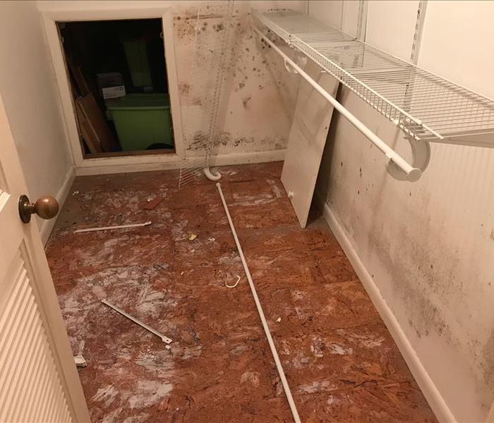 Master closet damaged by water leak, mold is growing on the flooring and walls. 