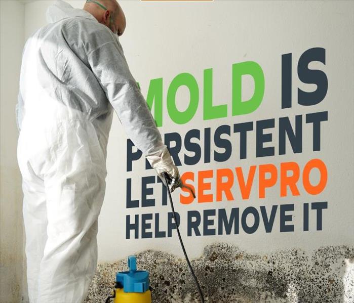 A person treating mold on a wall
