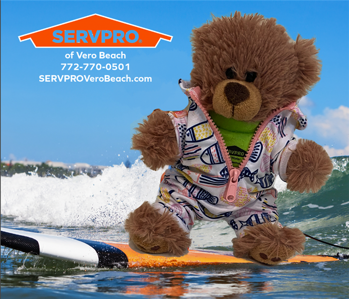 bear riding a surf board in a servpro shirt