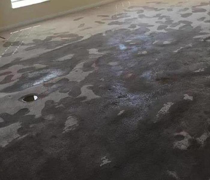 Living room carpet completely saturated with water 